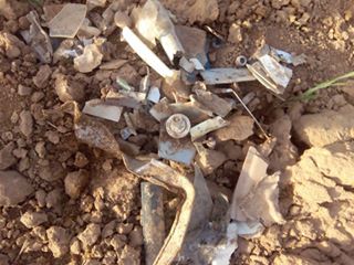 restos avion mejorada del campo 2